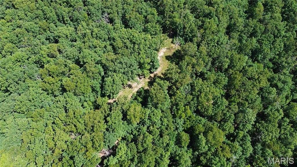 82.5 Acres of Land for Sale in Salem, Missouri