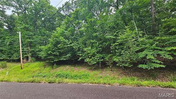 0.3 Acres of Residential Land for Sale in Charrette Township, Missouri