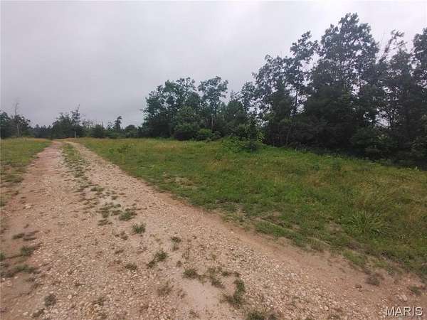 17.2 Acres of Recreational & Residential Land for Sale in Belleview, Missouri
