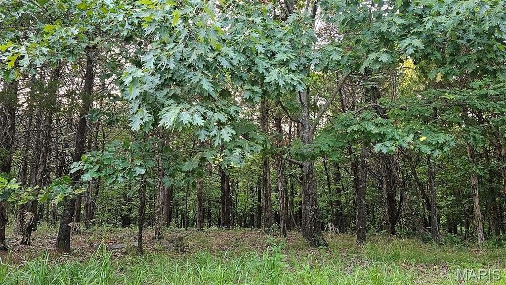 0.33 Acres of Residential Land for Sale in Charrette Township, Missouri