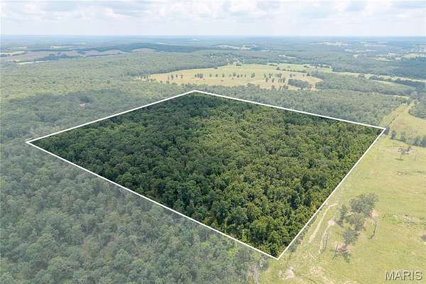40 Acres of Land for Sale in Stoutland, Missouri