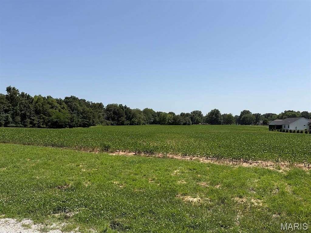 48 Acres of Land for Sale in Trenton, Illinois