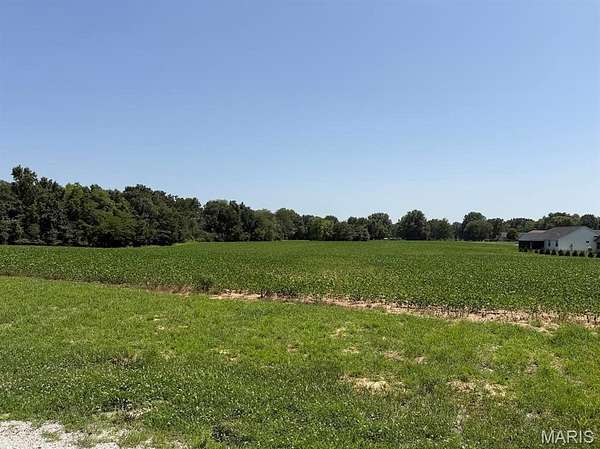 48 Acres of Land for Sale in Trenton, Illinois
