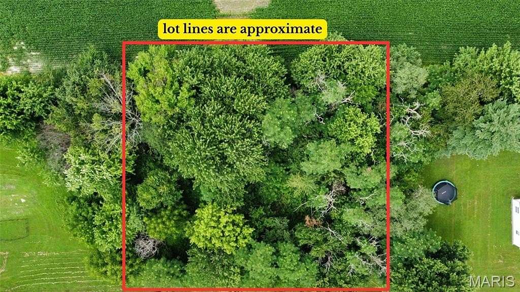 0.14 Acres of Residential Land for Sale in Mount Olive, Illinois