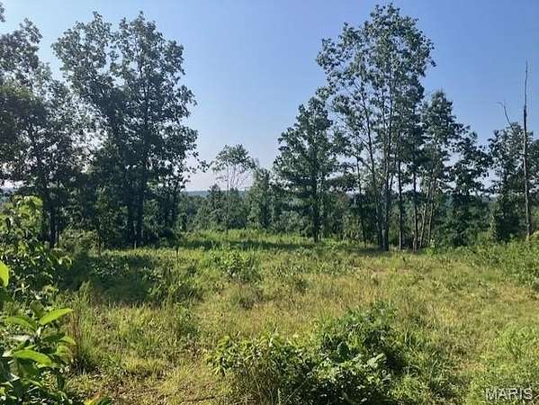 28.5 Acres of Recreational Land for Sale in Fredericktown, Missouri
