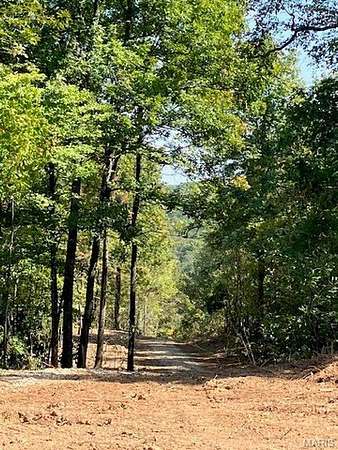 52.2 Acres of Recreational & Residential Land for Sale in Ellington, Missouri