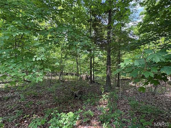 0.51 Acres of Land for Sale in Perryville, Missouri