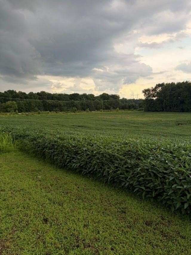 27.1 Acres of Recreational Land for Sale in Robards, Kentucky