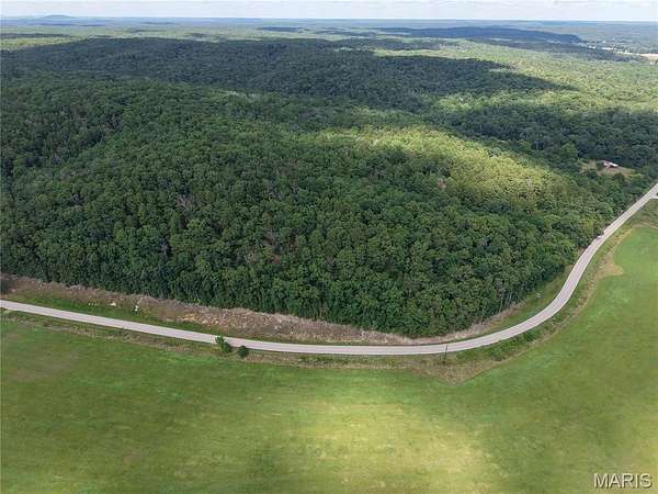 49.5 Acres of Land for Sale in Piedmont, Missouri