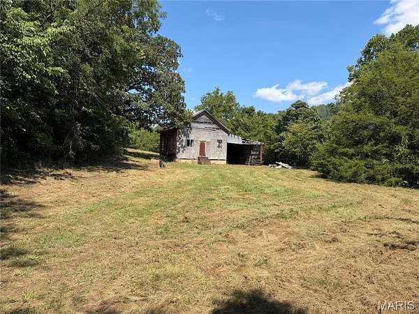 49.5 Acres of Land for Sale in Piedmont, Missouri
