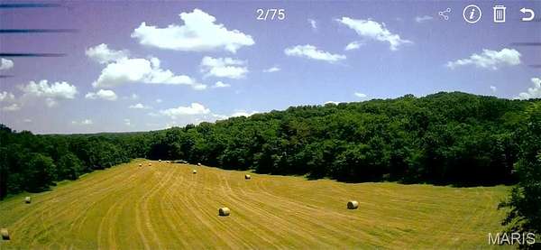 185 Acres of Land for Sale in Steelville, Missouri