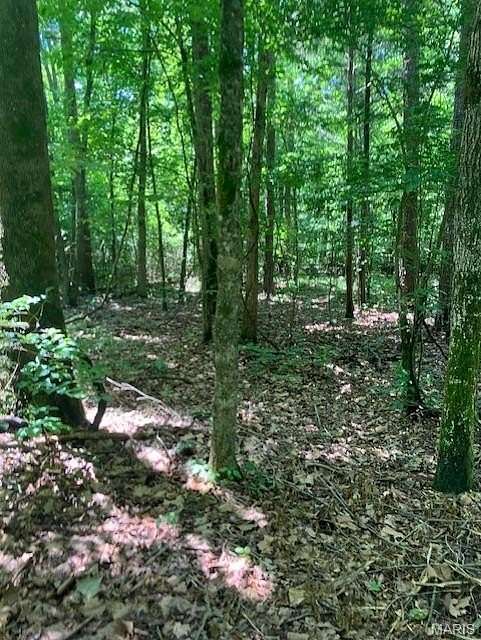 26.5 Acres of Recreational & Residential Land for Sale in Fredericktown, Missouri