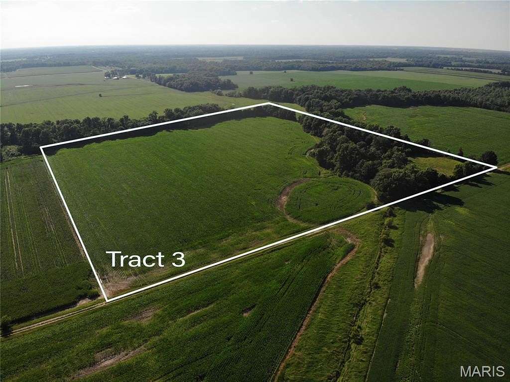 40 Acres of Land for Auction in Salem, Illinois