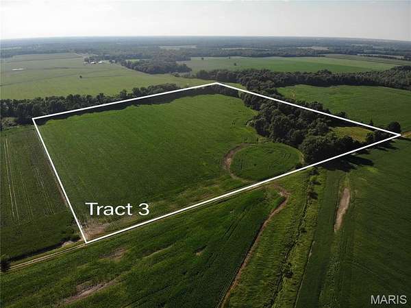 40 Acres of Land for Auction in Salem, Illinois