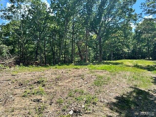 80 Acres of Land for Sale in Belleview, Missouri