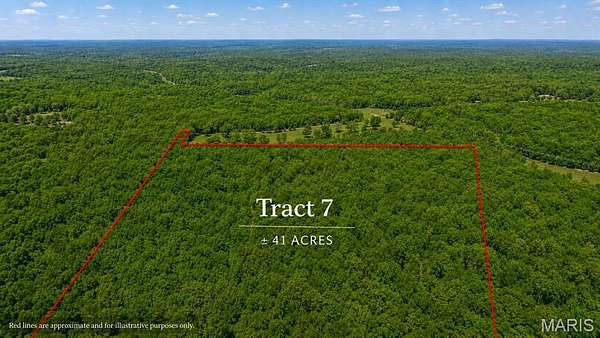 41 Acres of Land for Sale in Salem, Missouri