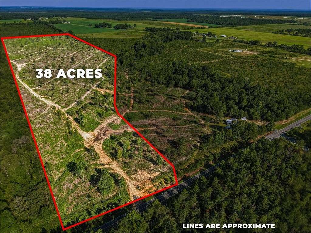 38 Acres of Land for Sale in Mauk, Georgia