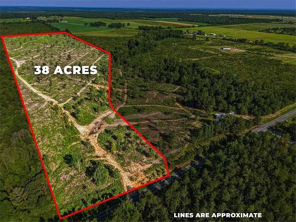 38 Acres of Land for Sale in Mauk, Georgia