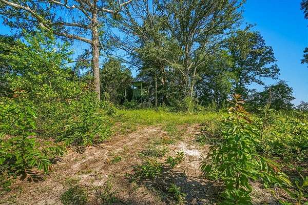 38 Acres of Land for Sale in Mauk, Georgia