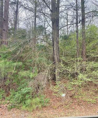 3 Acres of Residential Land for Sale in Jasper, Texas