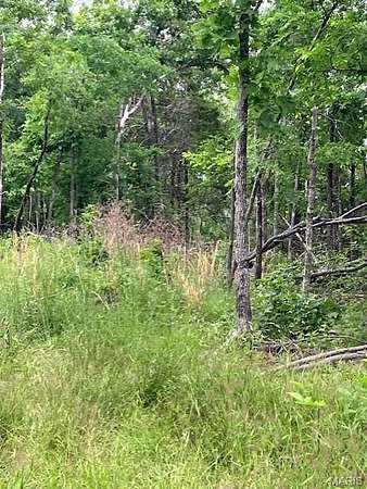 10 Acres of Residential Land for Sale in Fredericktown, Missouri