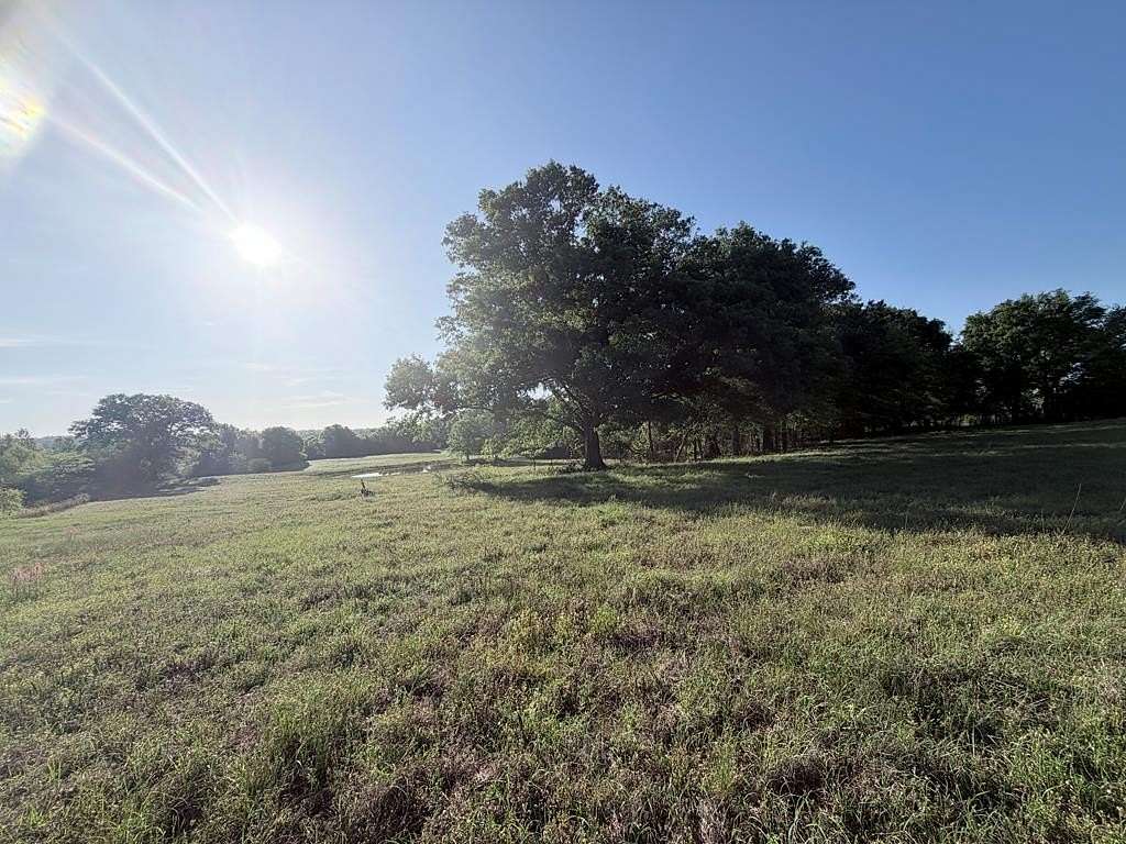 15 Acres of Land for Sale in Brundidge, Alabama