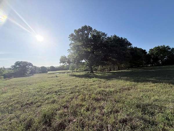 15 Acres of Land for Sale in Brundidge, Alabama