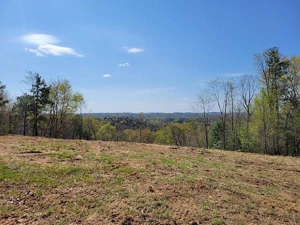 23 Acres of Recreational Land for Sale in Ivanhoe, Virginia