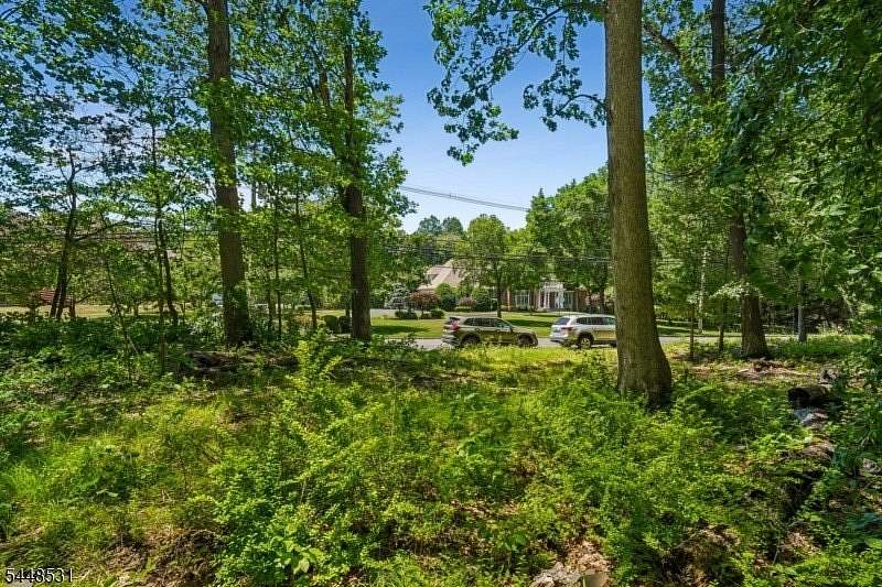 12 Acres of Land for Sale in Warren Township, New Jersey