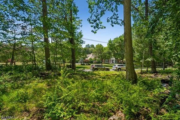 12 Acres of Land for Sale in Warren Township, New Jersey