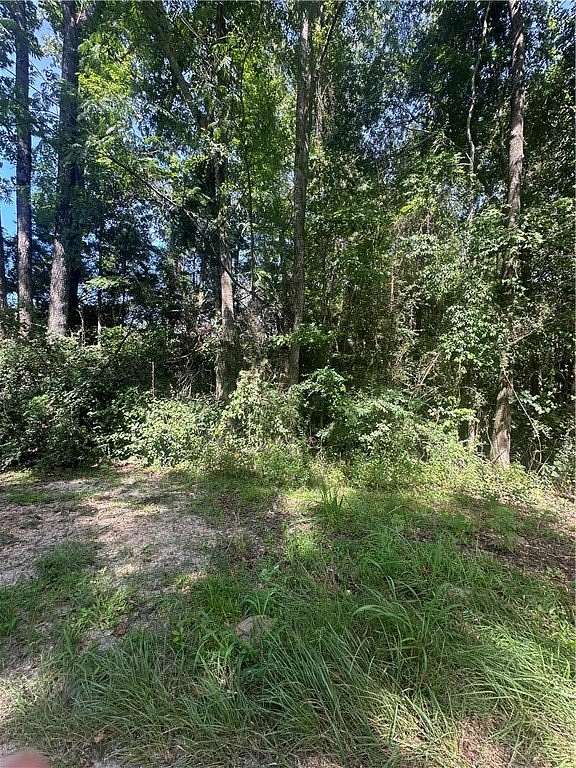 3.42 Acres of Land for Sale in Notasulga, Alabama