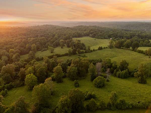 36.3 Acres of Land for Sale in Palmyra, Tennessee
