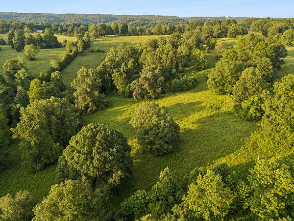 12.4 Acres of Land for Sale in Palmyra, Tennessee