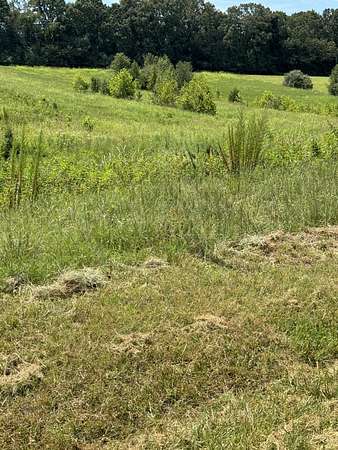 5 Acres of Residential Land for Sale in Estill Springs, Tennessee