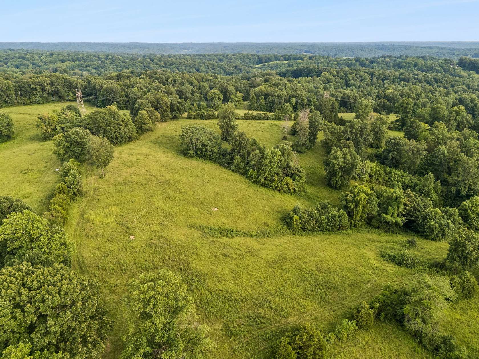 64.3 Acres of Land for Sale in Palmyra, Tennessee