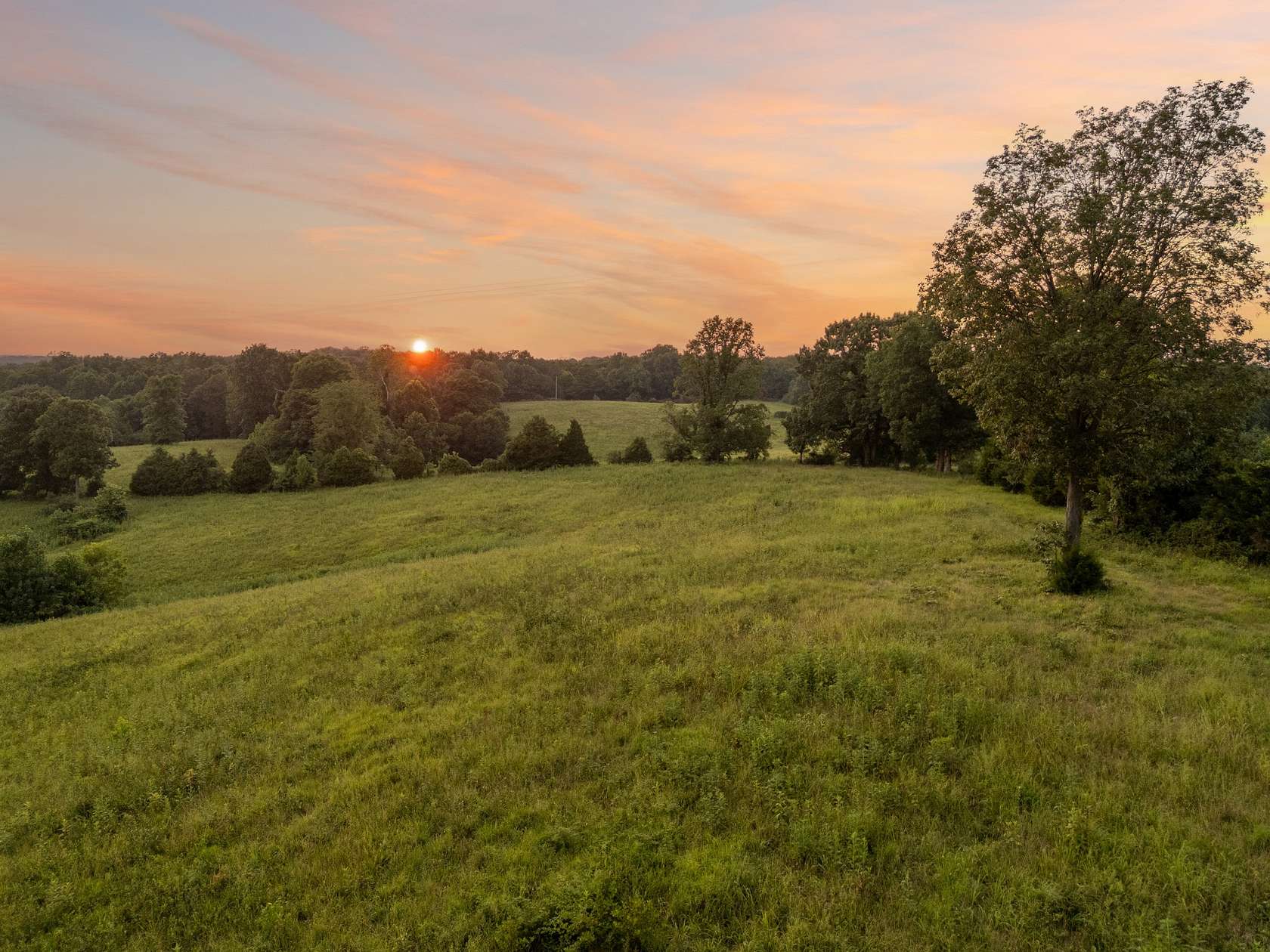 64.3 Acres of Land for Sale in Palmyra, Tennessee