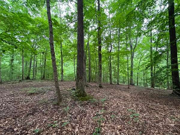 153 Acres of Land for Sale in Clarksville, Tennessee