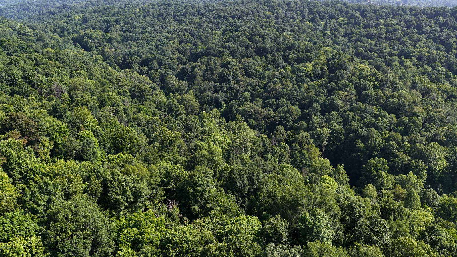 10 Acres of Recreational & Residential Land for Sale in Marietta, Ohio
