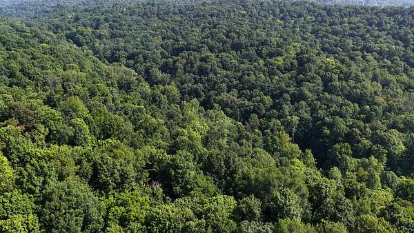 10 Acres of Recreational & Residential Land for Sale in Marietta, Ohio