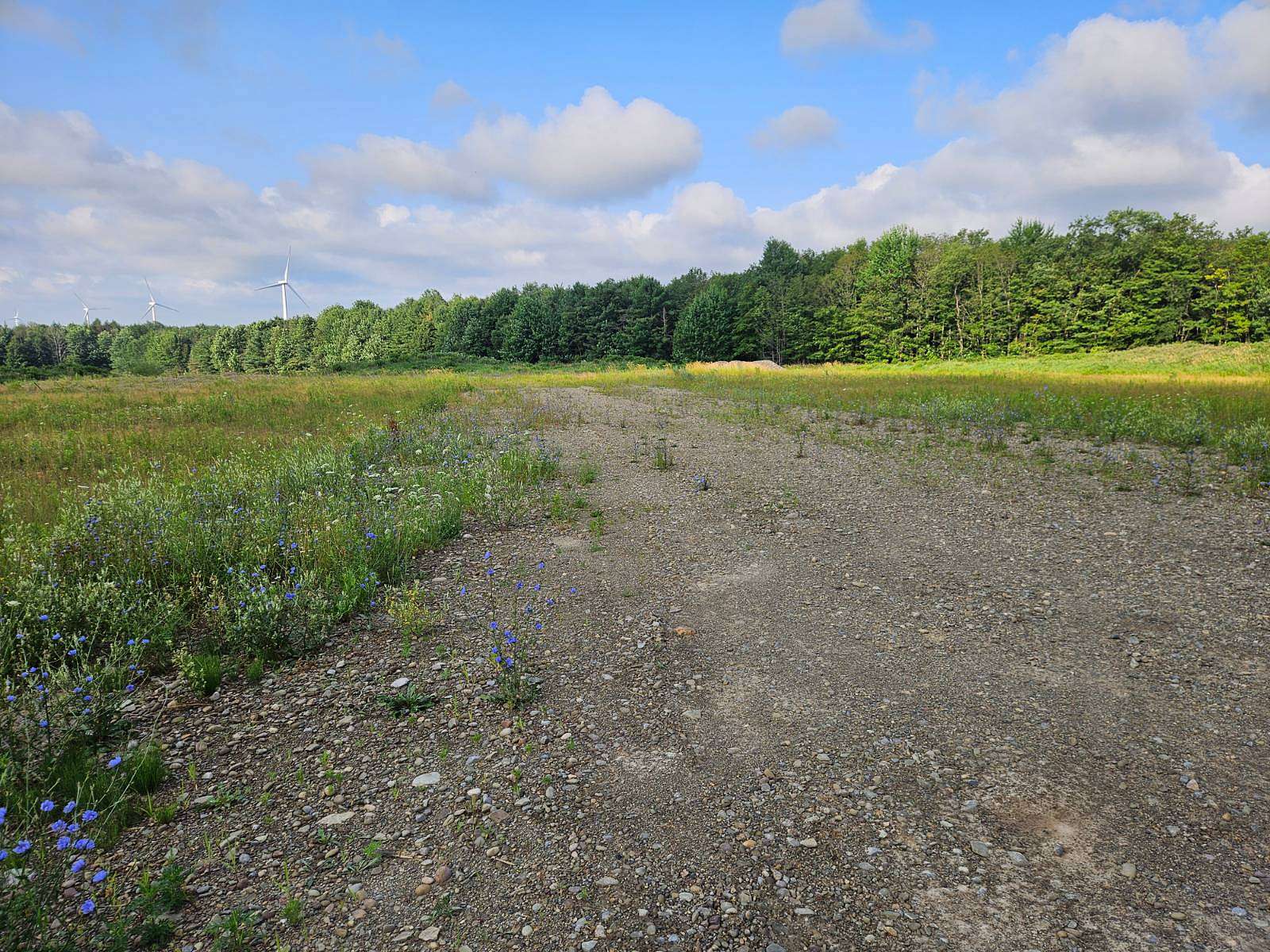 25 Acres of Land for Auction in Gainesville, New York