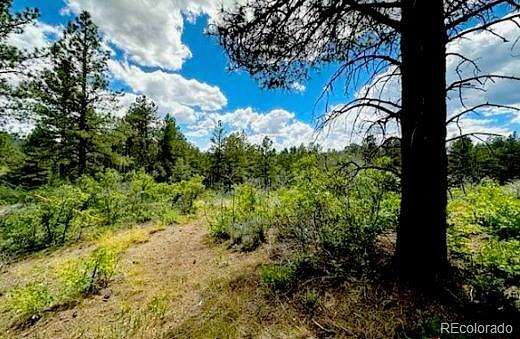 1.1 Acres of Residential Land for Sale in Pagosa Springs, Colorado