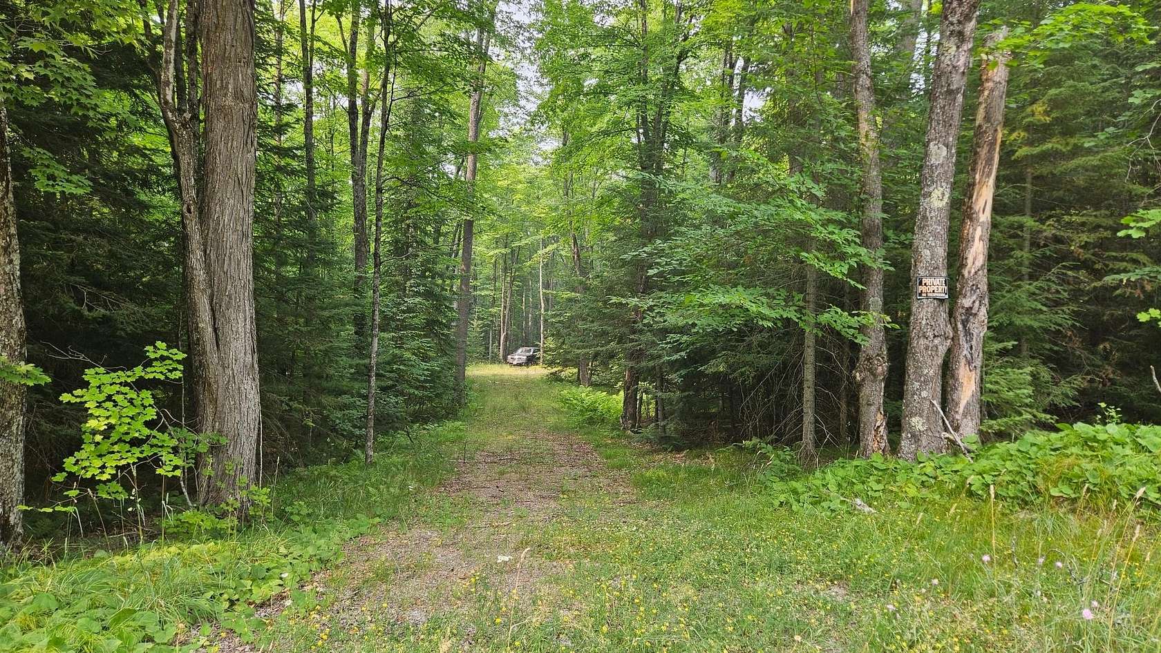 15 Acres of Recreational & Residential Land for Sale in Conover, Wisconsin