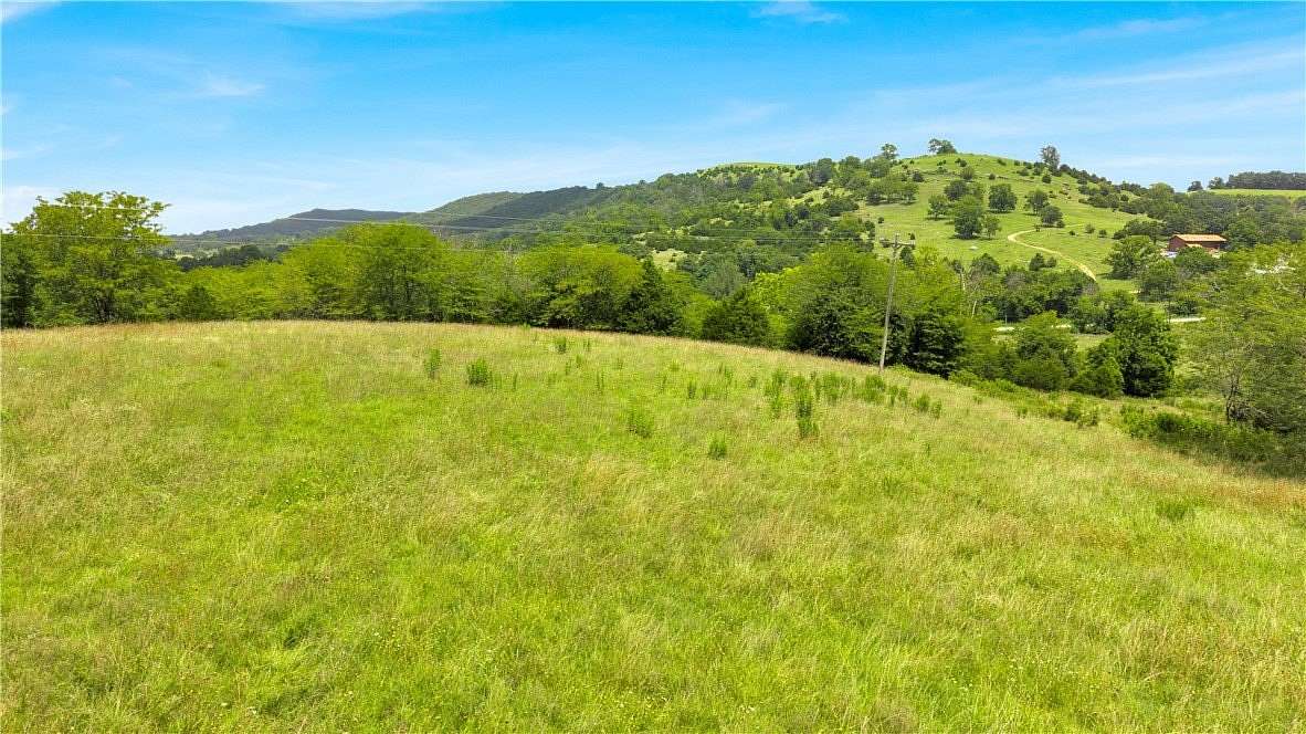 41.1 Acres of Land with Home for Sale in Berryville, Arkansas