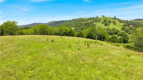 41.1 Acres of Land with Home for Sale in Berryville, Arkansas