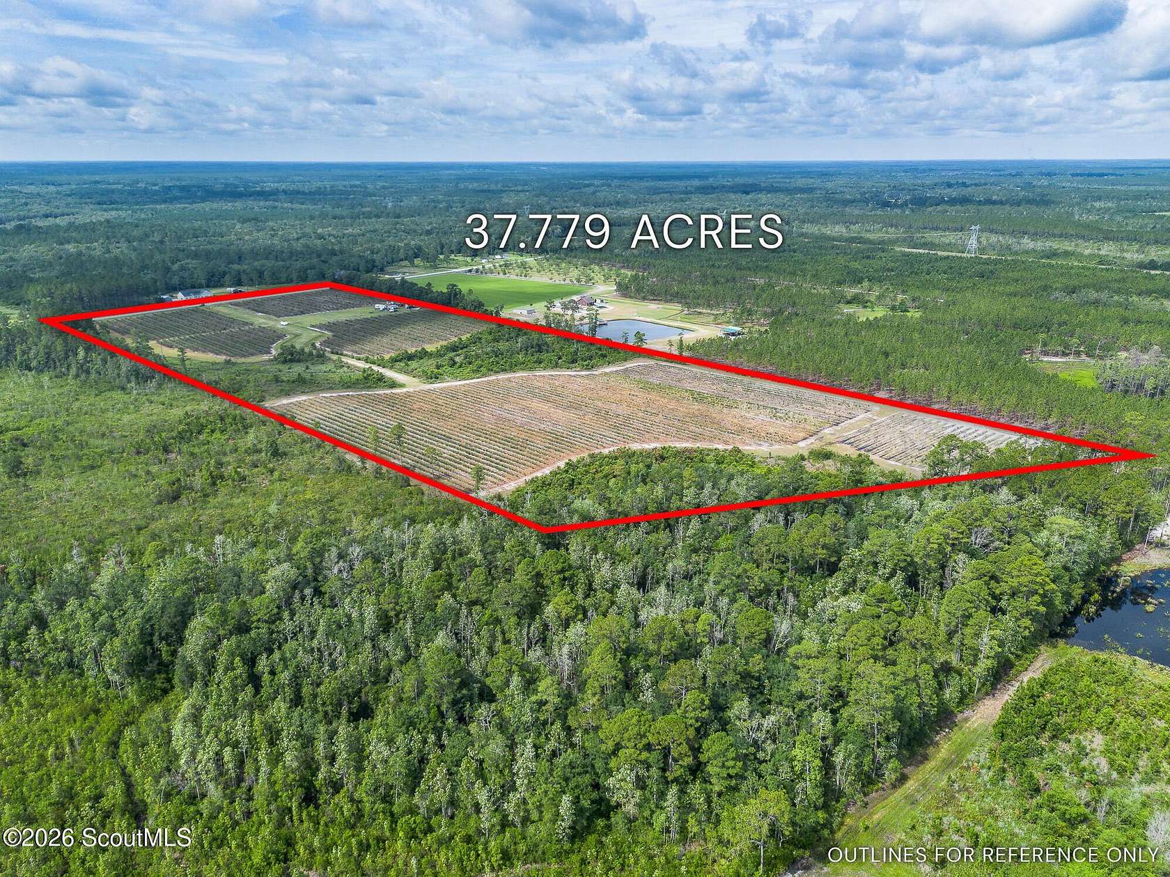 37.8 Acres of Land for Sale in Patterson, Georgia
