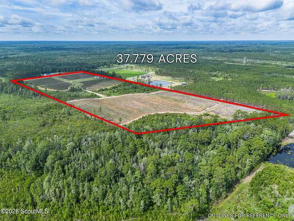 37.8 Acres of Land for Sale in Patterson, Georgia