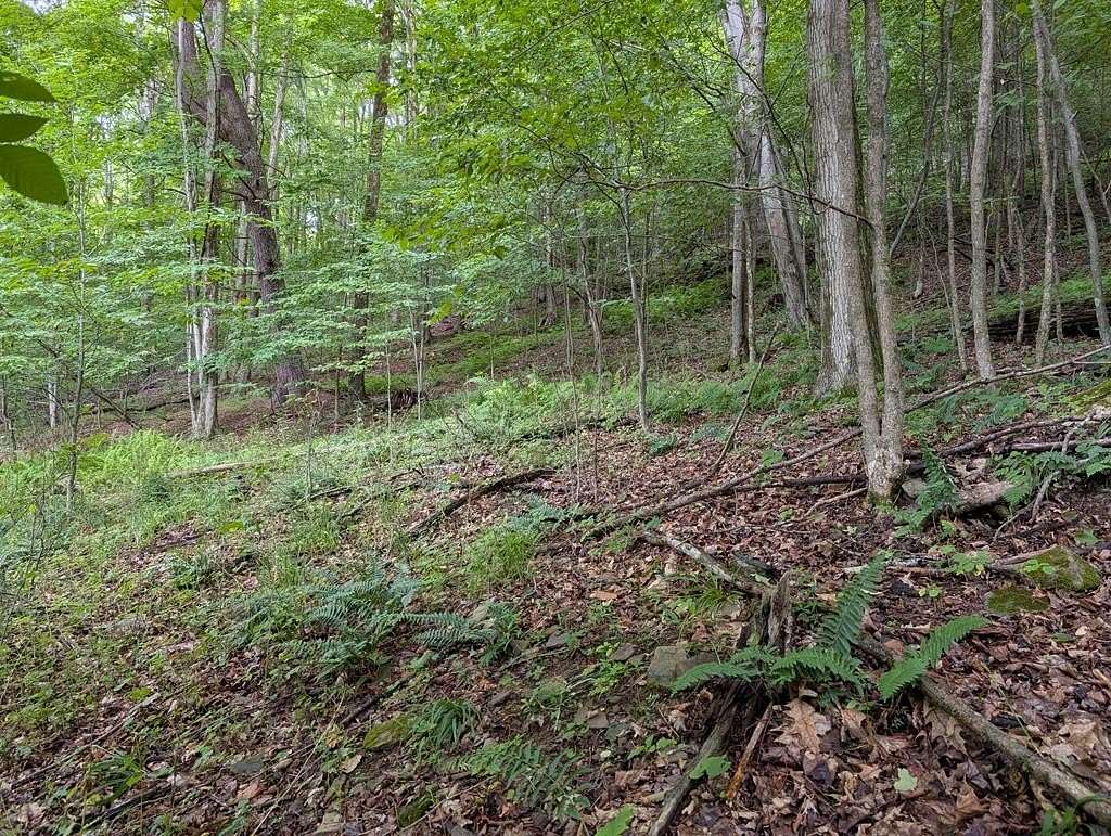 82.7 Acres of Recreational Land for Sale in Coudersport, Pennsylvania