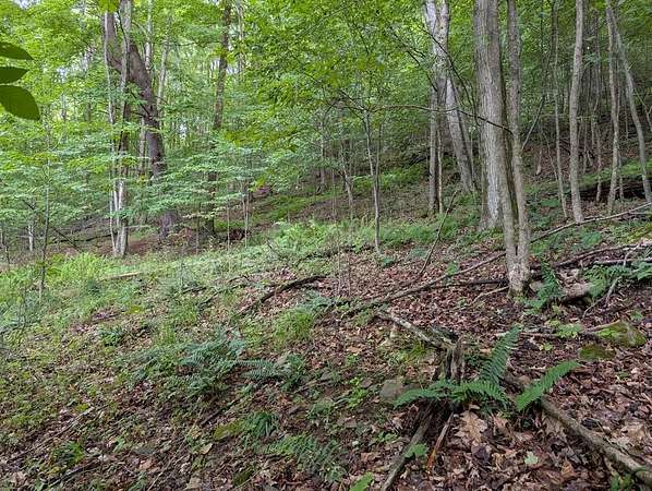 82.7 Acres of Recreational Land for Sale in Coudersport, Pennsylvania