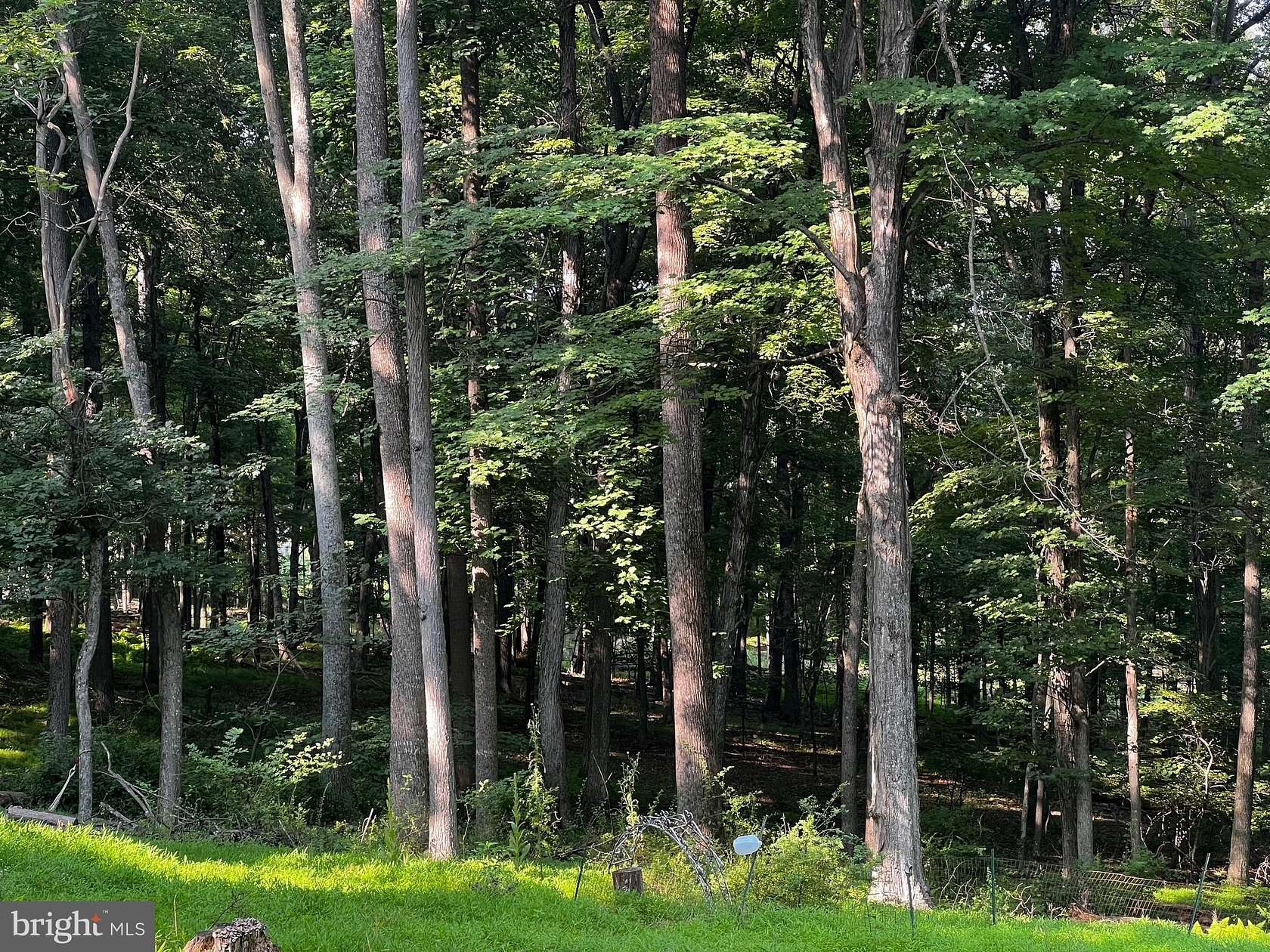 5 Acres of Land with Home for Sale in Mathias, West Virginia
