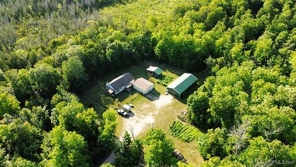 40 Acres of Recreational Land with Home for Sale in Gould City, Michigan